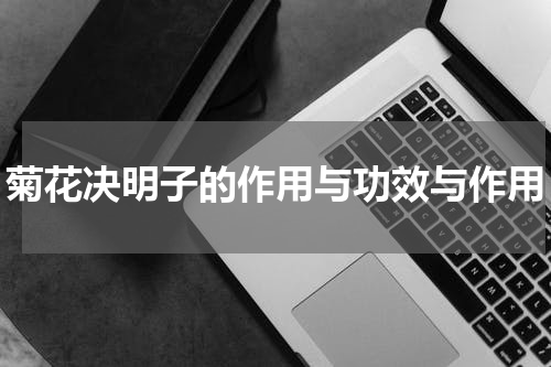 菊花决明子的作用与功效与作用