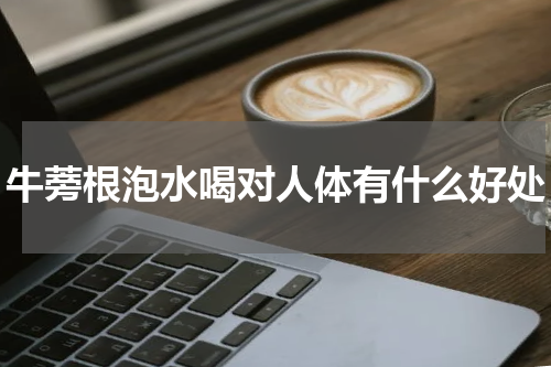牛蒡根泡水喝对人体有什么好处