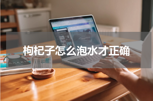 枸杞子怎么泡水才正确