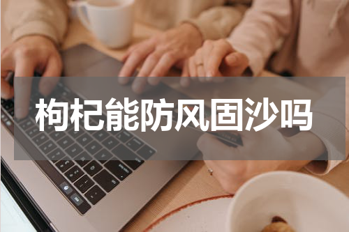 枸杞能防风固沙吗