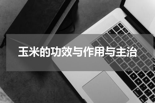 玉米的功效与作用与主治
