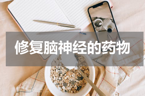 修复脑神经的药物