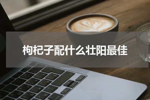 枸杞子配什么壮阳最佳