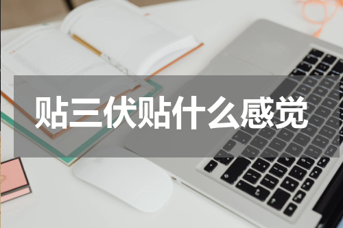 贴三伏贴什么感觉