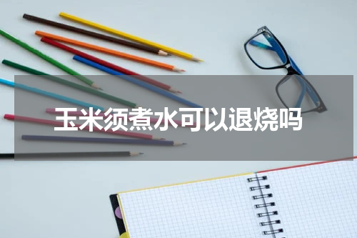 玉米须煮水可以退烧吗