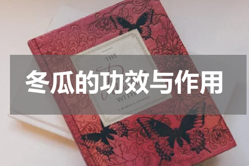 冬瓜的功效与作用
