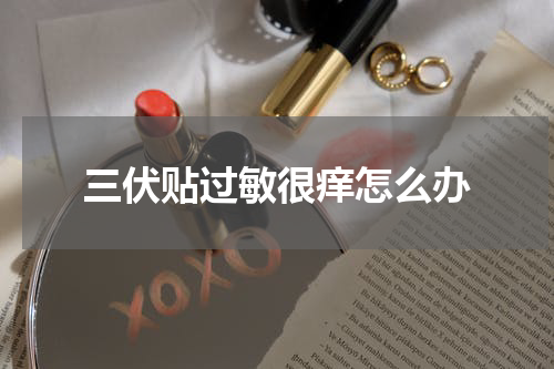 三伏贴过敏很痒怎么办
