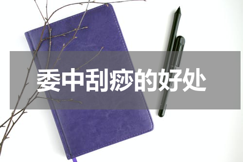 委中刮痧的好处