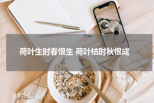 荷叶生时春恨生 荷叶枯时秋恨成