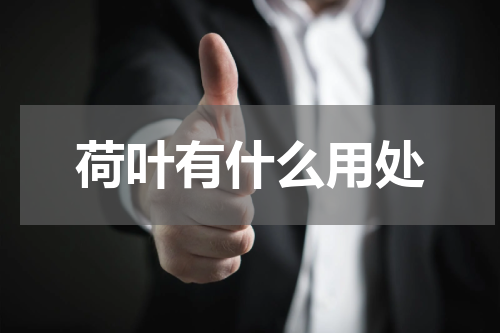 荷叶有什么用处