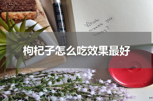 枸杞子怎么吃效果最好