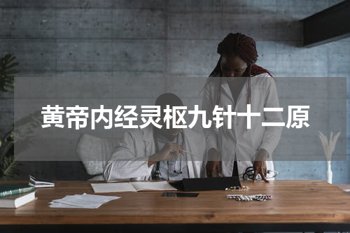 黄帝内经灵枢九针十二原