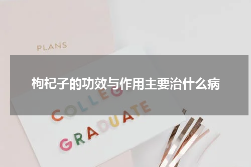 枸杞子的功效与作用主要治什么病