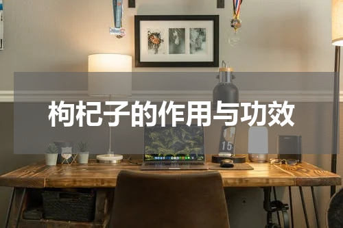 枸杞子的作用与功效