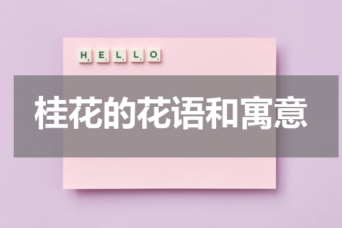 桂花的花语和寓意