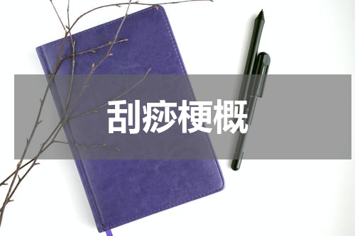 刮痧梗概
