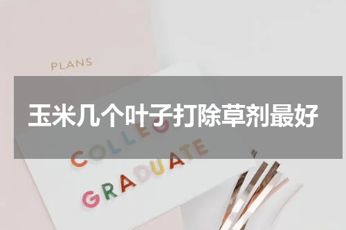 玉米几个叶子打除草剂最好