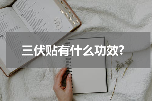 三伏贴有什么功效?