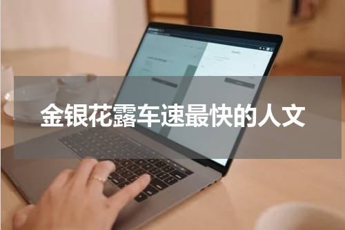 金银花露车速最快的人文
