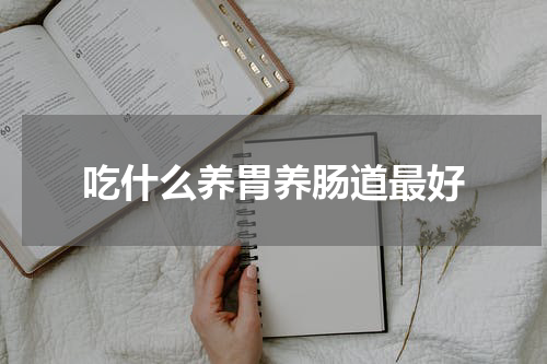 吃什么养胃养肠道最好