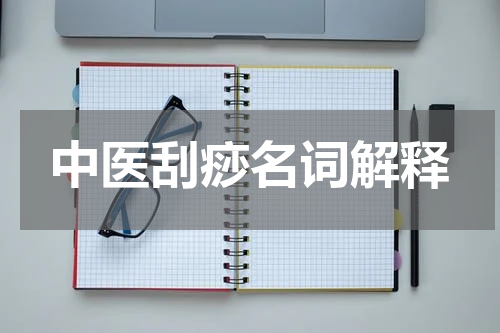 中医刮痧名词解释
