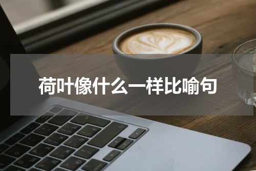 荷叶像什么一样比喻句