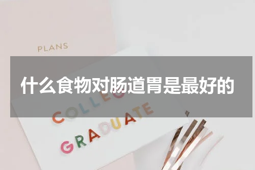 什么食物对肠道胃是最好的