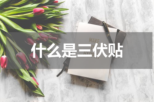 什么是三伏贴