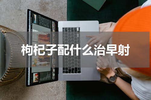 枸杞子配什么治早射