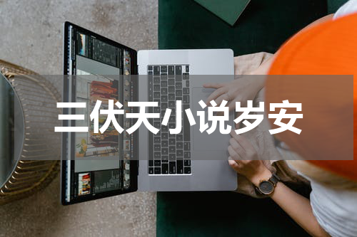 三伏天小说岁安