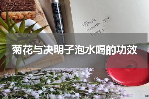 菊花与决明子泡水喝的功效
