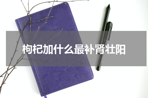 枸杞加什么最补肾壮阳