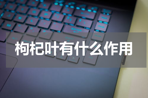 枸杞叶有什么作用