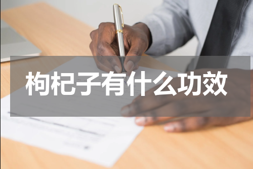 枸杞子有什么功效