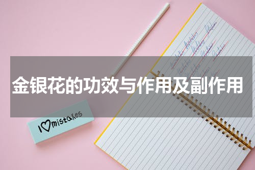 金银花的功效与作用及副作用