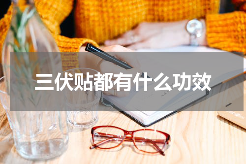 三伏贴都有什么功效