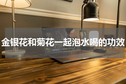 金银花和菊花一起泡水喝的功效