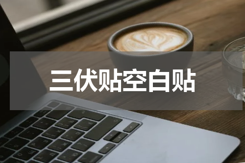三伏贴空白贴