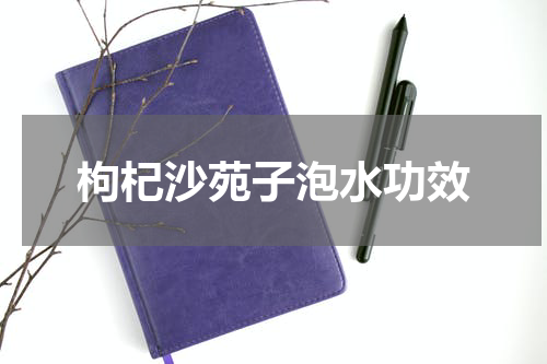 枸杞沙苑子泡水功效