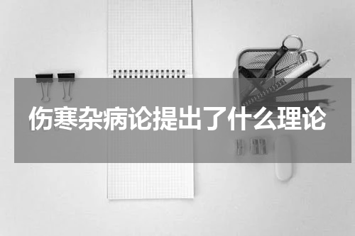 伤寒杂病论提出了什么理论