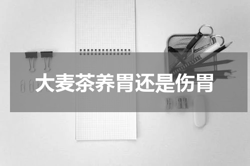 大麦茶养胃还是伤胃