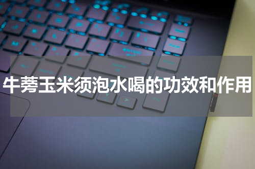 牛蒡玉米须泡水喝的功效和作用
