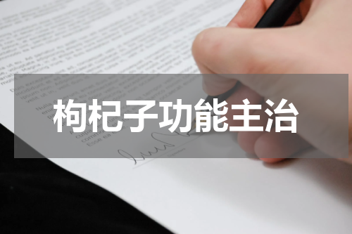 枸杞子功能主治