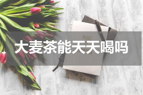 大麦茶能天天喝吗