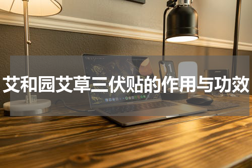 艾和园艾草三伏贴的作用与功效