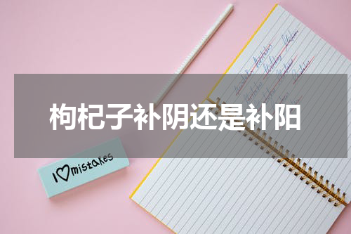 枸杞子补阴还是补阳