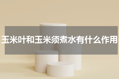 玉米叶和玉米须煮水有什么作用