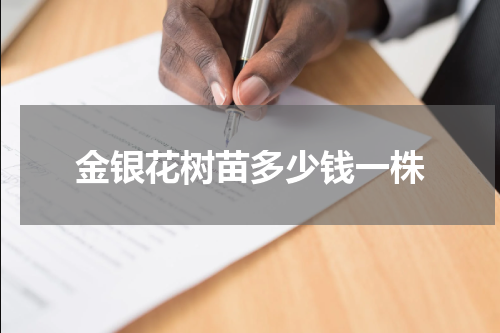 金银花树苗多少钱一株