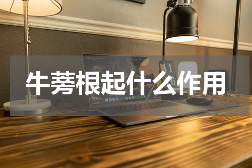牛蒡根起什么作用