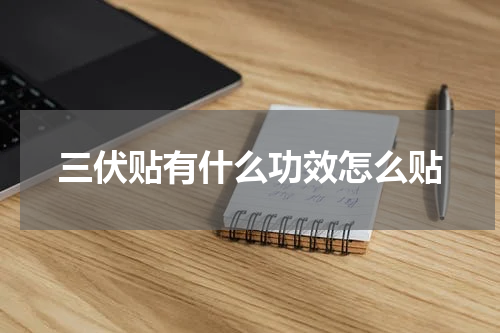 三伏贴有什么功效怎么贴